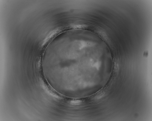 X0000110930357200906251339