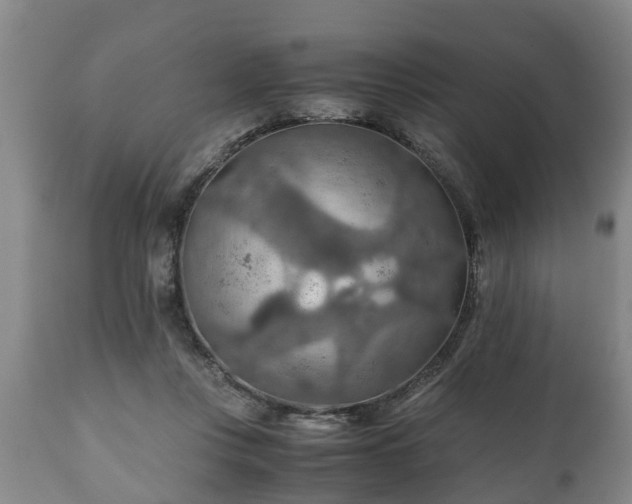 X0000110930359200906251339