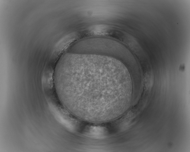 X0000110930360200906251339