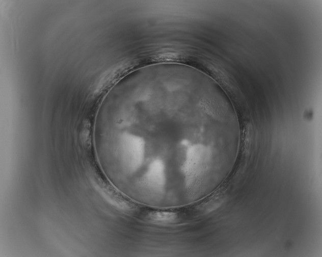 X0000110930361200906251339