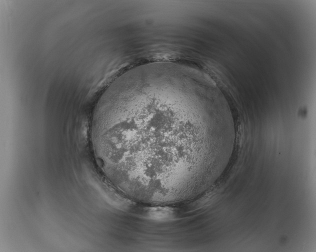 X0000110930363200906251339