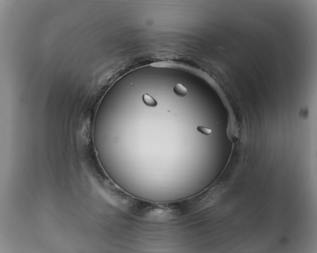 X0000110930364200906251339