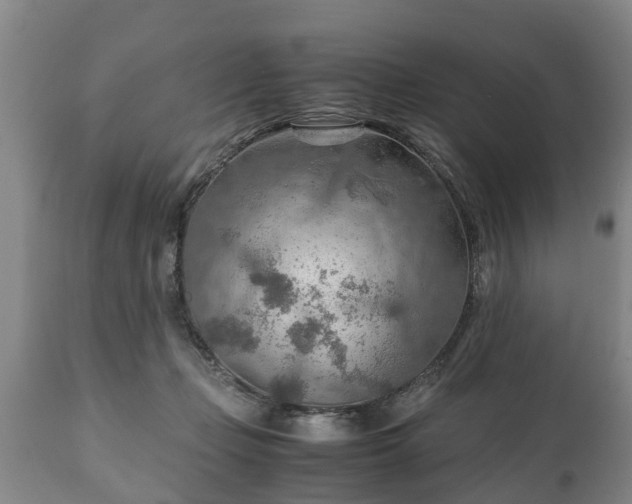 X0000110930365200906251339