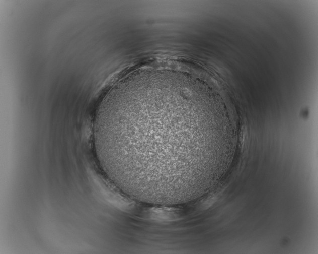 X0000110930367200906251339
