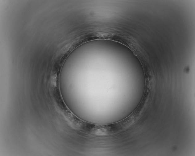 X0000110930368200906251339