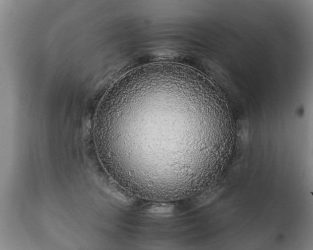X0000110930369200906251339