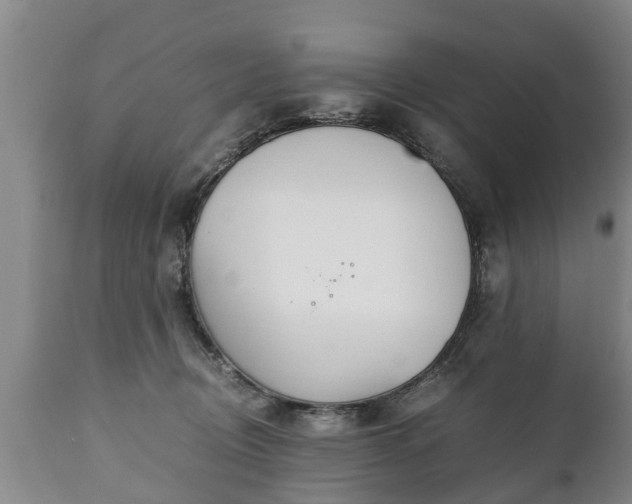 X0000110930370200906251339