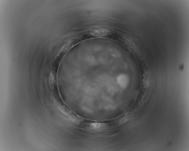 X0000110930371200906251339