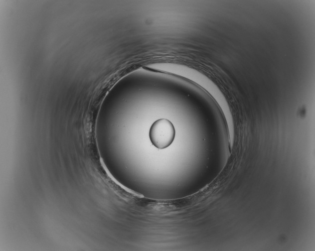 X0000110930372200906251339