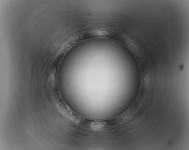 X0000110930373200906251339