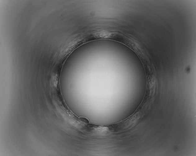 X0000110930374200906251340