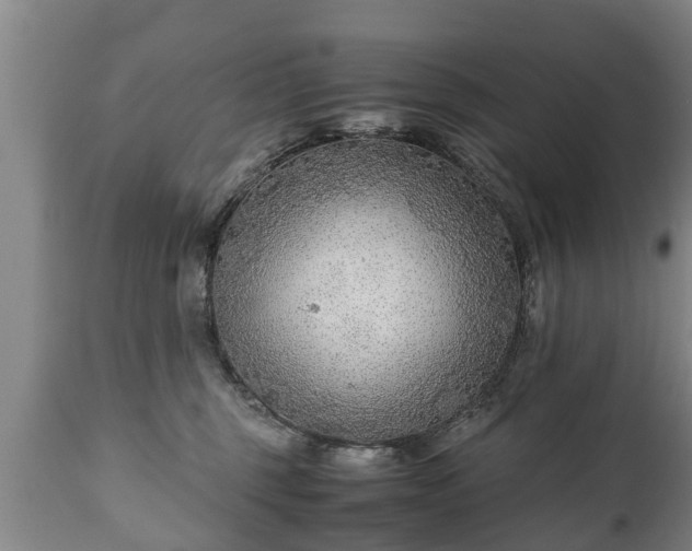 X0000110930375200906251340