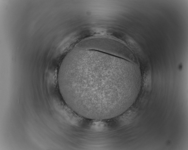 X0000110930376200906251340