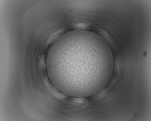 X0000110930377200906251340