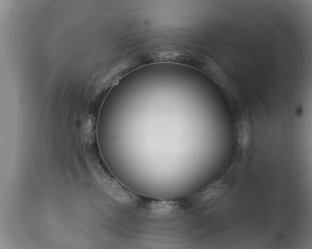 X0000110930378200906251340