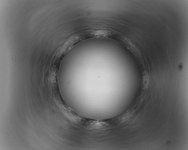X0000110930379200906251340