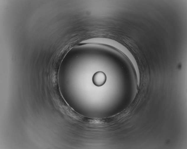 X0000110930380200906251340