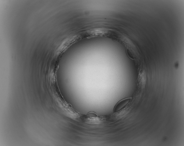X0000110930381200906251340
