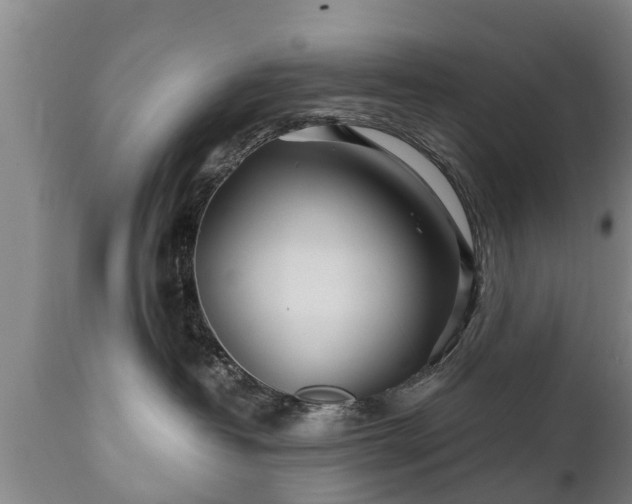 X0000110930382200906251340