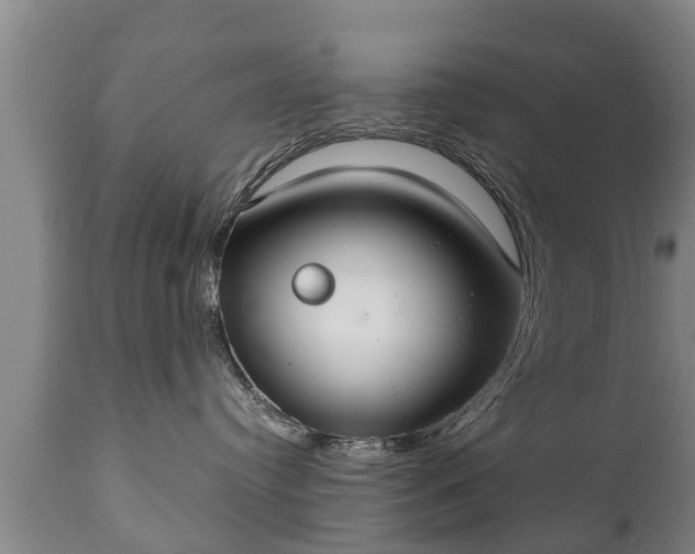 X0000110930384200906251340