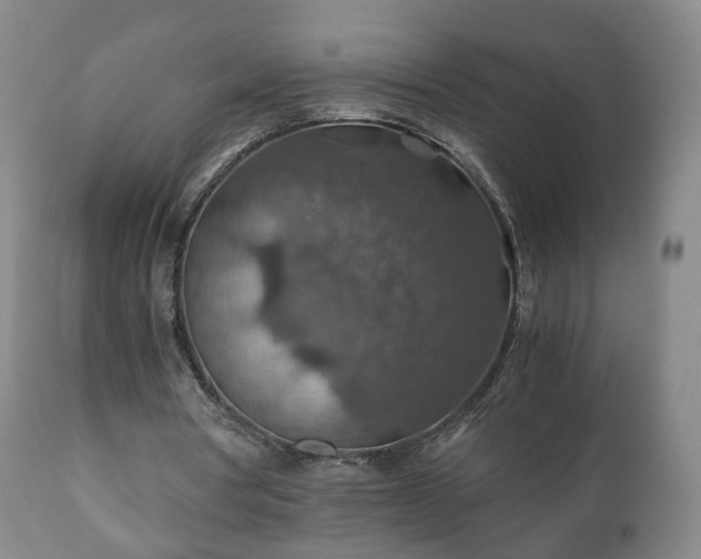 X0000110930386200906251339