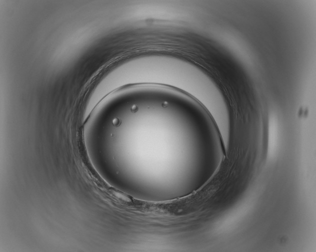 X0000110930387200906251339
