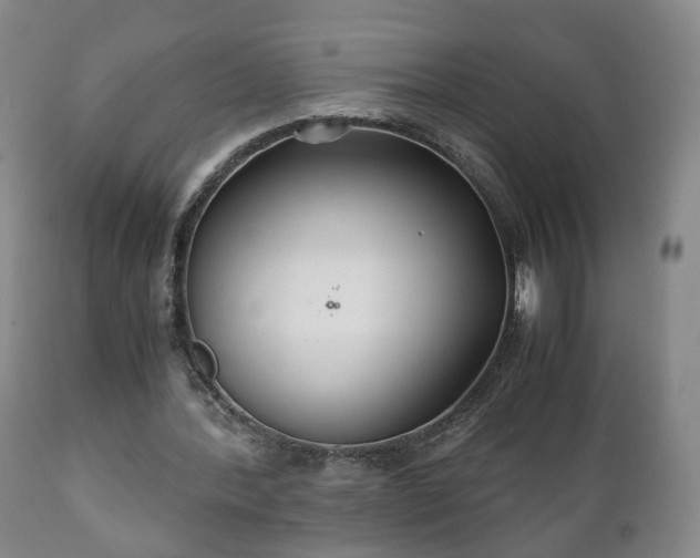 X0000110930388200906251339