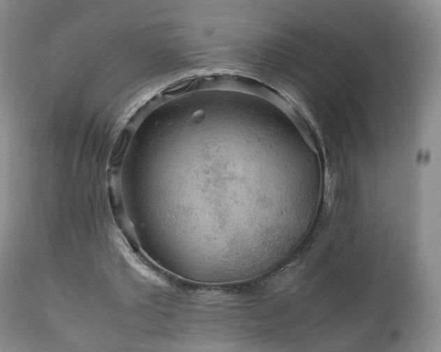 X0000110930389200906251339