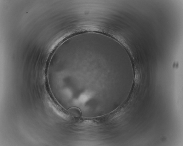 X0000110930390200906251339