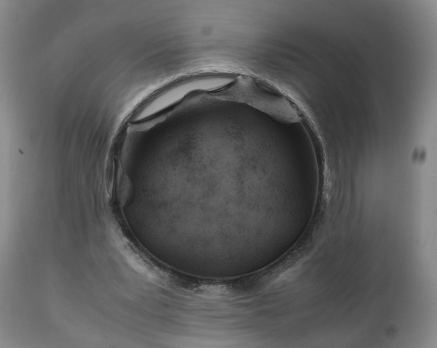 X0000110930391200906251339