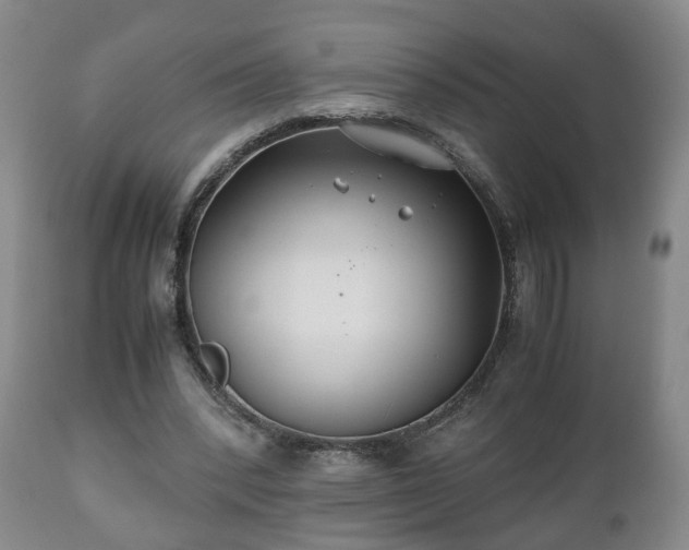 X0000110930392200906251339