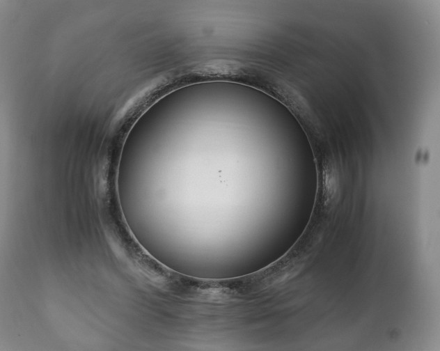 X0000110930396200906251339