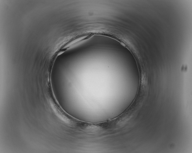 X0000110930397200906251339