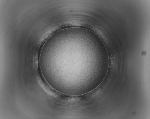 X0000110930398200906251339