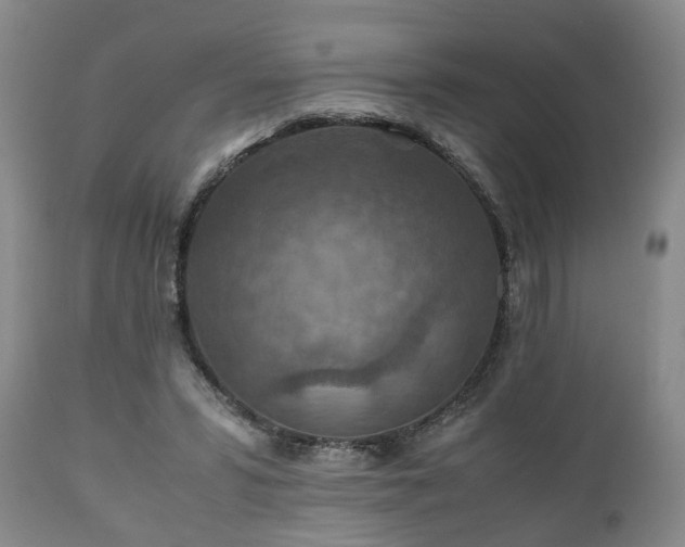X0000110930399200906251339