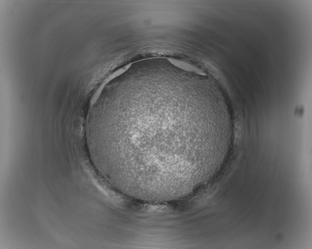 X0000110930401200906251339