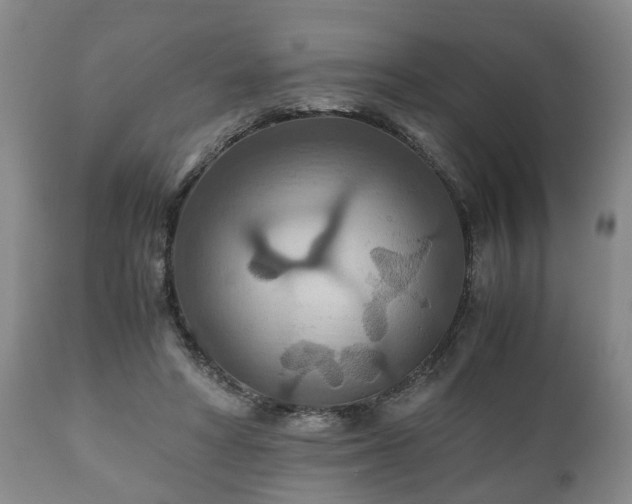 X0000110930402200906251339