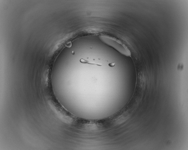 X0000110930404200906251339