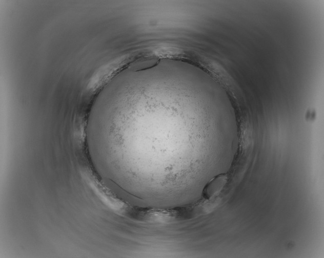 X0000110930405200906251339