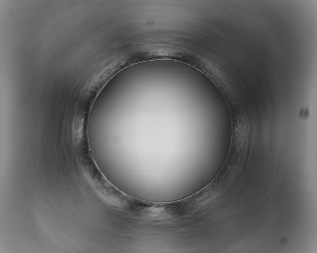 X0000110930406200906251339