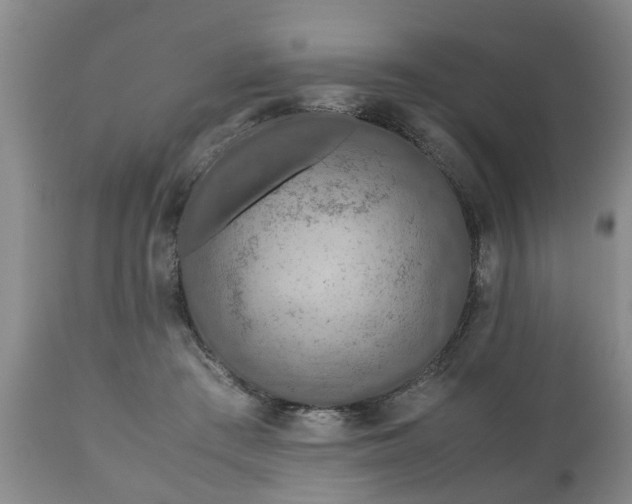 X0000110930409200906251338