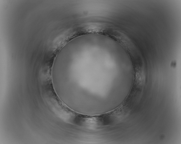 X0000110930411200906251338