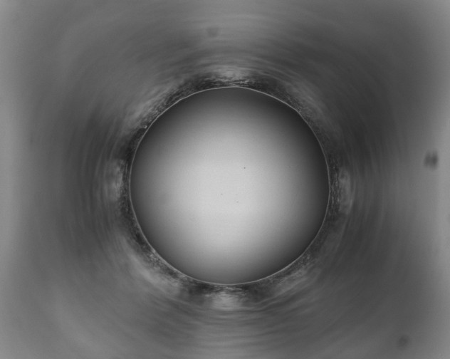 X0000110930412200906251338