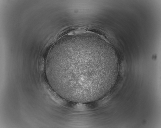 X0000110930413200906251338