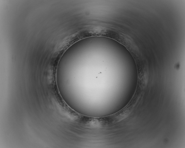 X0000110930416200906251338