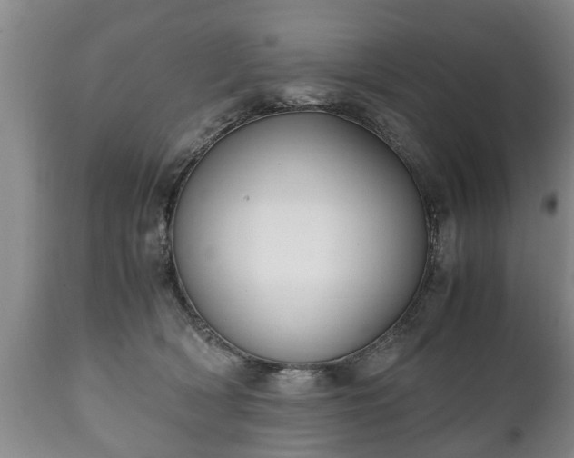 X0000110930418200906251338
