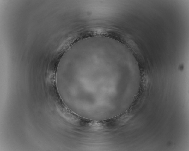 X0000110930419200906251338