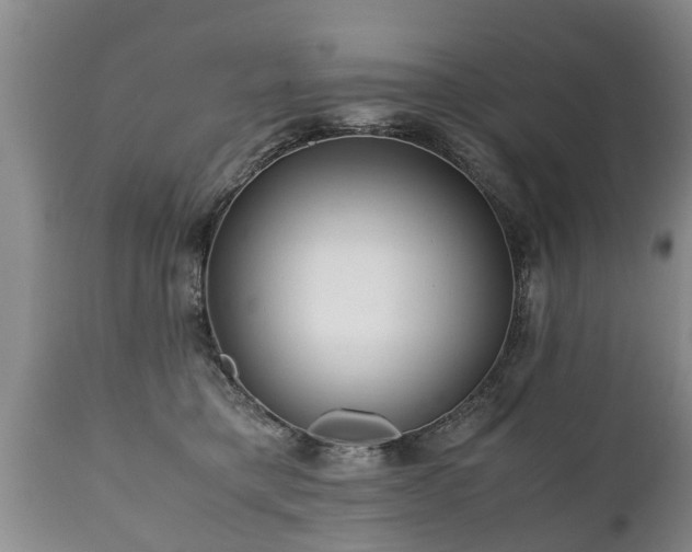 X0000110930421200906251338