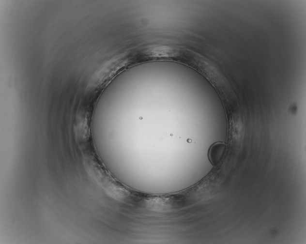 X0000110930422200906251338