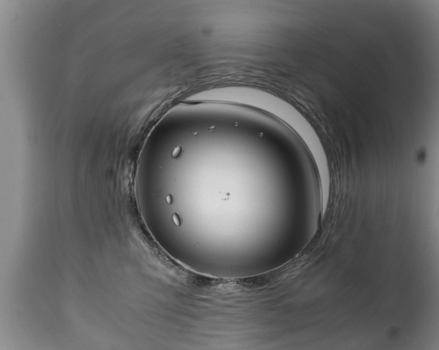 X0000110930423200906251338